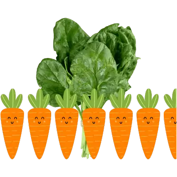 Sante Barley International Barley Barley Grass has 6.5x as much Carotene in Spinach