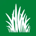 SDFA