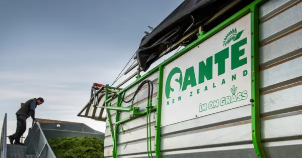 Sante Barley New Zealand - 600 x 315 - WEBP