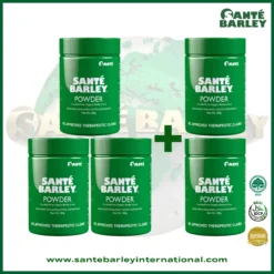 Santé Barley Organic Powder Canister Without Stevia 3+2 Buy 3 Get 2 Free Promo Package